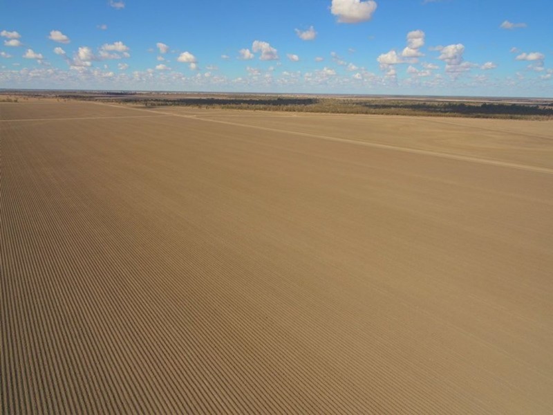 Canarvon, Mungindi NSW 2406