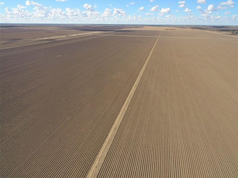 Canarvon, Mungindi NSW 2406