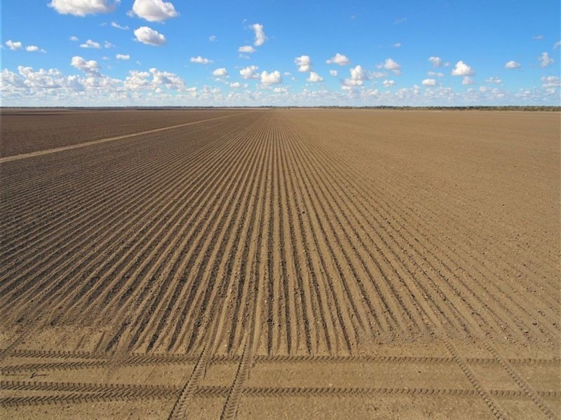 Canarvon, Mungindi NSW 2406