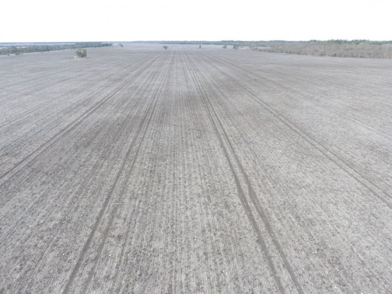 Canarvon, Mungindi NSW 2406