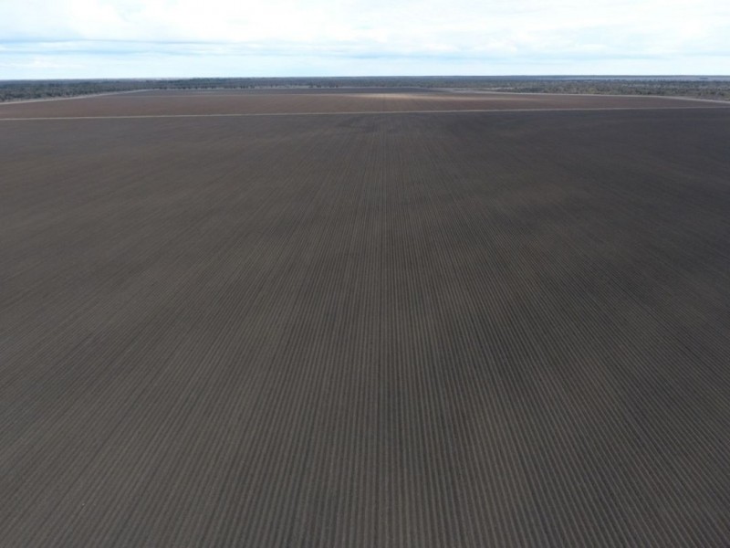 Canarvon, Mungindi NSW 2406