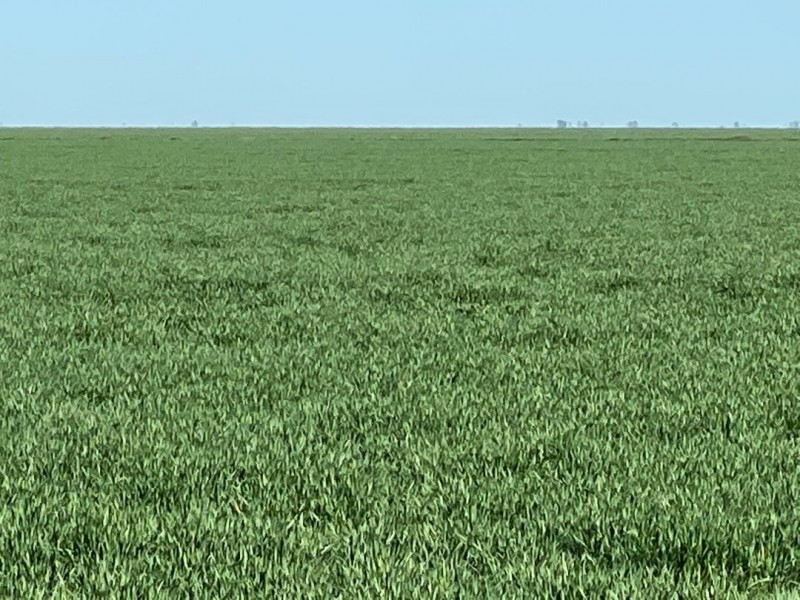 Kia Ora, Walgett NSW 2832