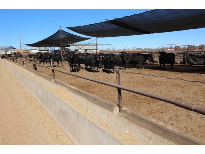 Kia Ora, Walgett NSW 2832