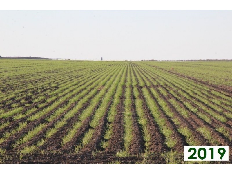 Kia Ora, Walgett NSW 2832