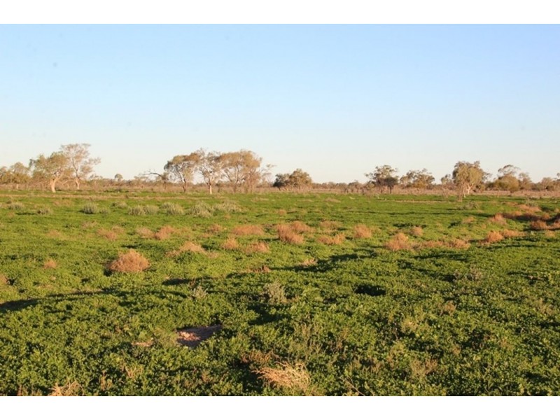 Kia Ora, Walgett NSW 2832