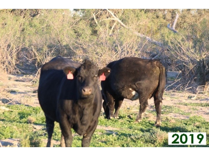 Kia Ora, Walgett NSW 2832