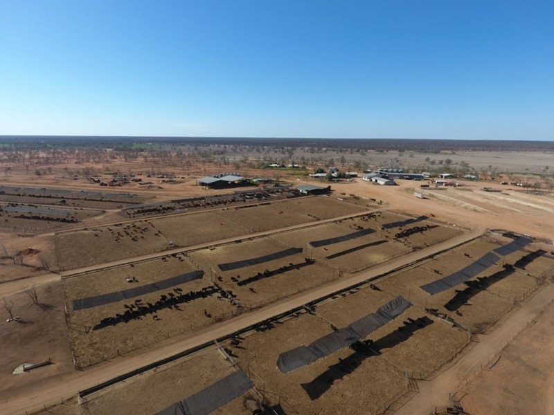 Kia Ora, Walgett NSW 2832