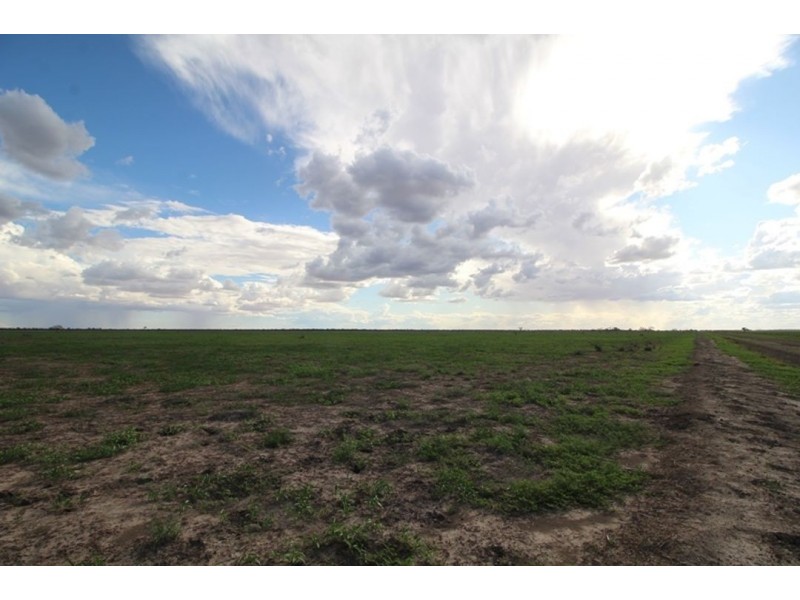 Kia Ora, Walgett NSW 2832