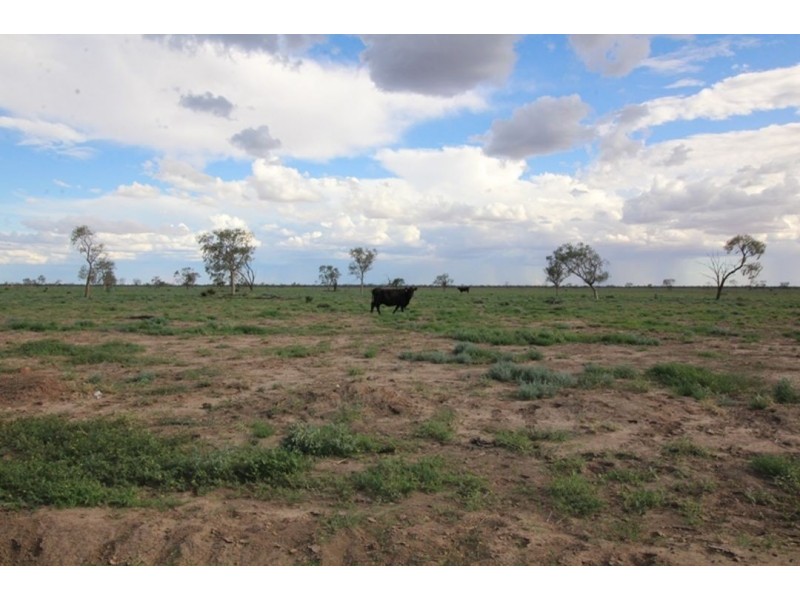 Kia Ora, Walgett NSW 2832