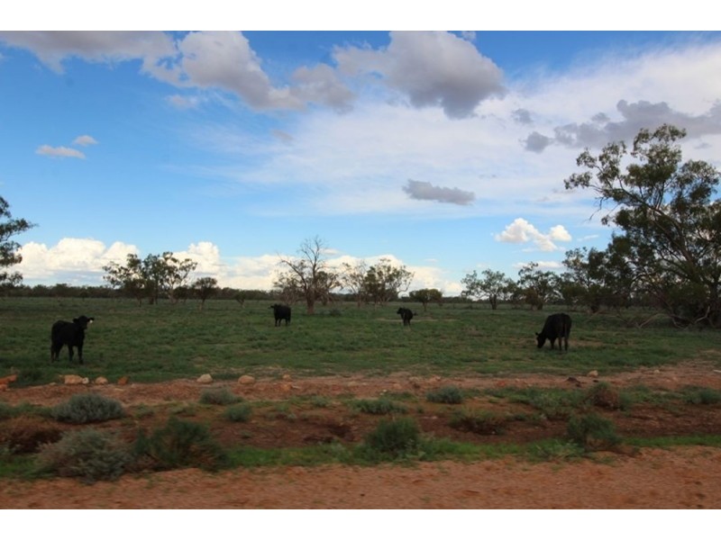 Kia Ora, Walgett NSW 2832