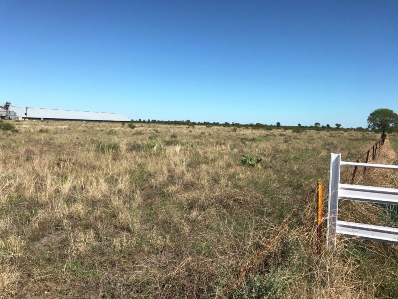 21 Millie Street, Gurley NSW 2398