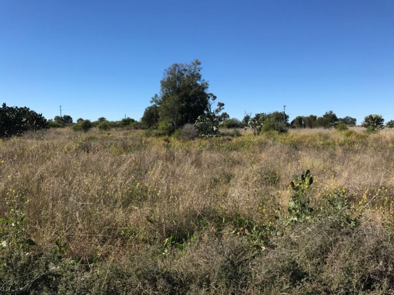 10 WOOD ST, Crooble NSW 2400