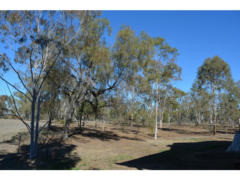 22 COURALLIE STREET, Moree NSW 2400