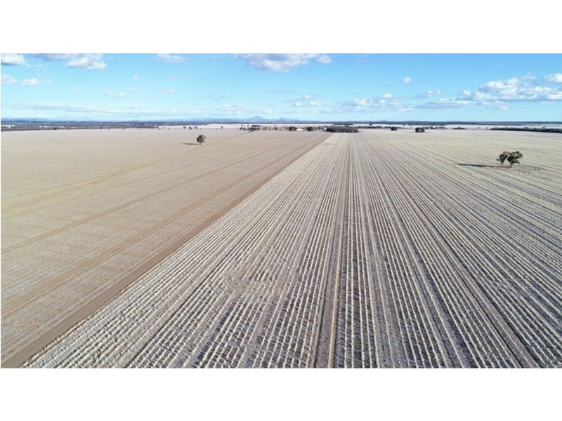 Prospect Downs Aggregation, Moree NSW 2400