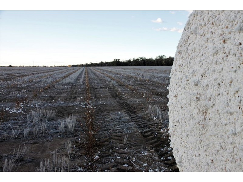Prospect Downs Aggregation, Moree NSW 2400