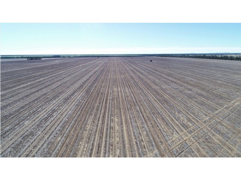 Prospect Downs Aggregation, Moree NSW 2400