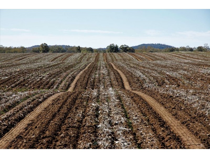 Prospect Downs Aggregation, Moree NSW 2400