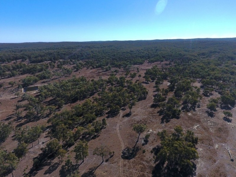 Strathmore, New Valley NSW 2365