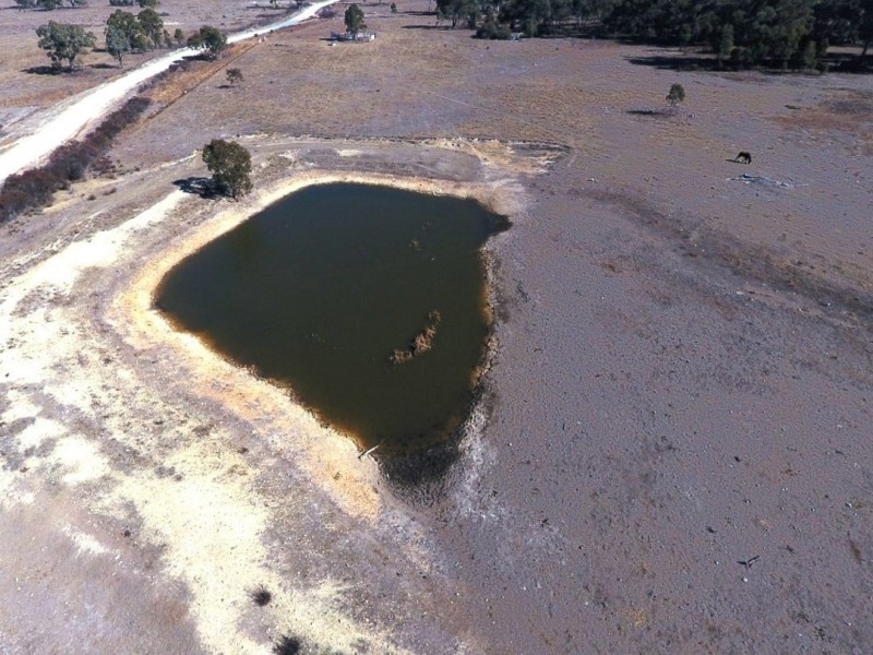 Strathmore, New Valley NSW 2365
