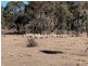 Strathmore, New Valley NSW 2365