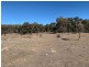 Strathmore, New Valley NSW 2365