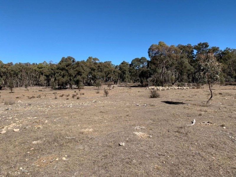 Strathmore, New Valley NSW 2365