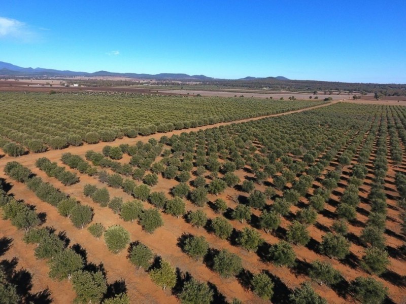 Eden Valley Home Block, Bellata NSW 2397