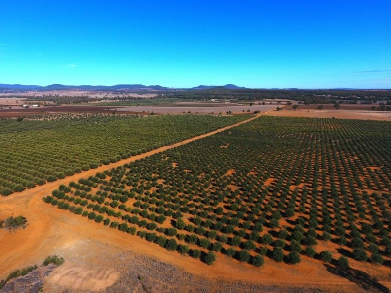 Eden Valley Home Block, Bellata NSW 2397