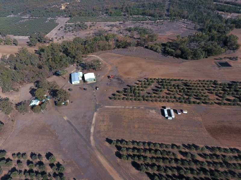 Eden Valley Home Block, Bellata NSW 2397