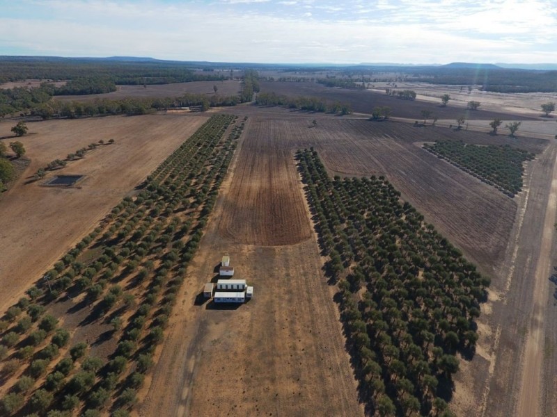 Eden Valley Home Block, Bellata NSW 2397