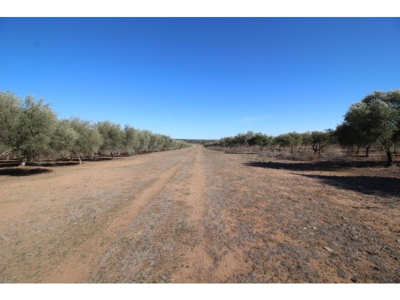 Eden Valley Home Block, Bellata NSW 2397