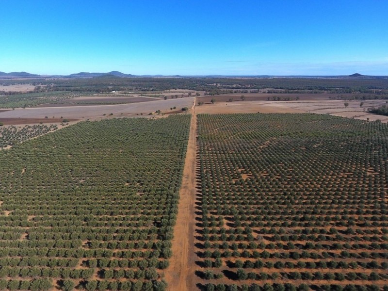 Eden Valley Home Block, Bellata NSW 2397