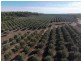 Eden Valley Block Two, Bellata NSW 2397