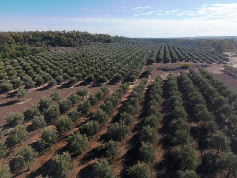 Eden Valley Block Two, Bellata NSW 2397