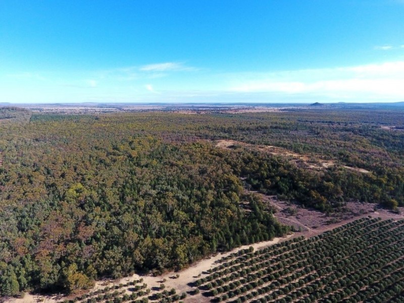 Eden Valley Block Two, Bellata NSW 2397