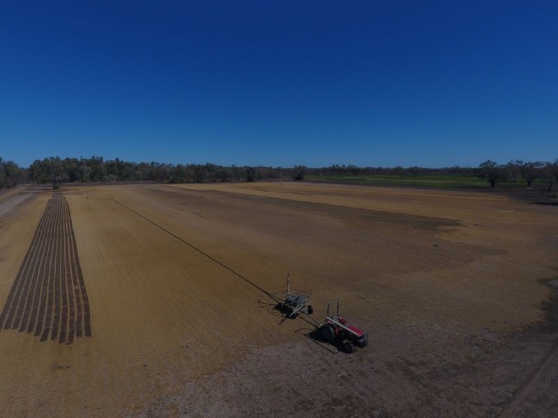 269 BENDYGLEET ROAD, Moree NSW 2400