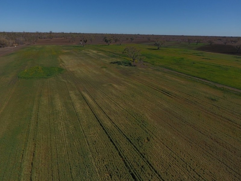 269 BENDYGLEET ROAD, Moree NSW 2400