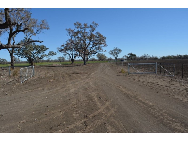 269 BENDYGLEET ROAD, Moree NSW 2400