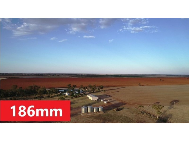 Homedale, Moree NSW 2400