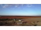 Homedale, Moree NSW 2400