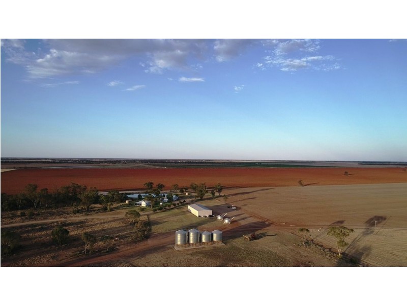 Homedale, Moree NSW 2400