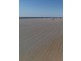 Homedale, Moree NSW 2400
