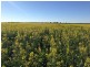 Homedale, Moree NSW 2400