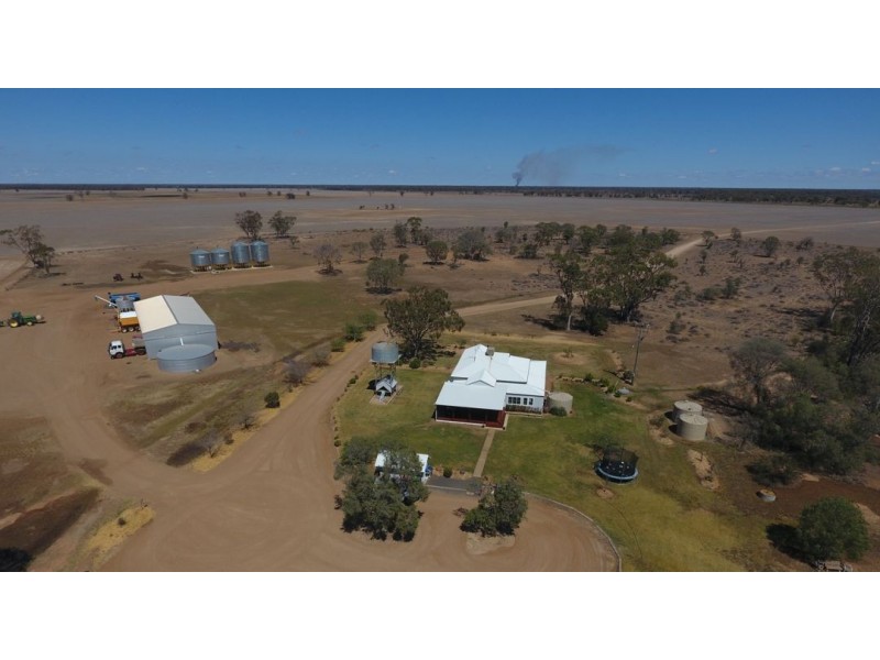 Homedale, Moree NSW 2400