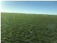 Homedale, Moree NSW 2400