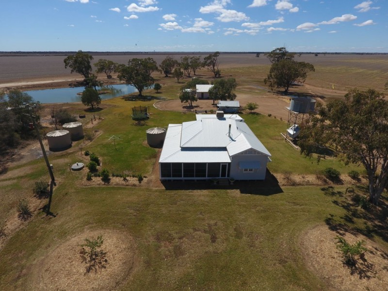 Homedale, Moree NSW 2400