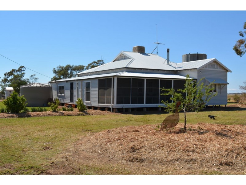 Homedale, Moree NSW 2400