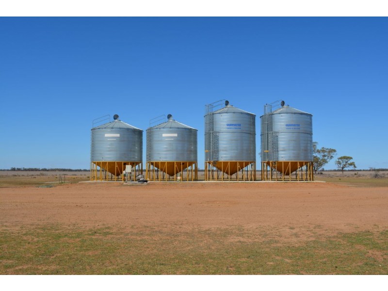 Homedale, Moree NSW 2400