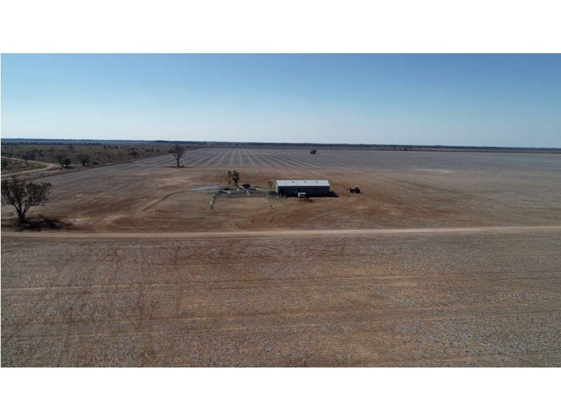 Homedale, Moree NSW 2400