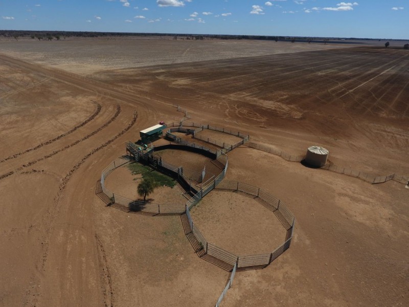 Homedale, Moree NSW 2400